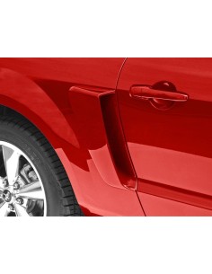 Cucharas laterales al estilo de Cervini (MUSTANG 05-09) 2