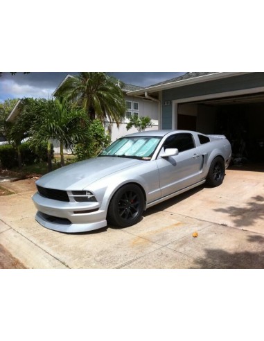 Cucharas laterales al estilo de Cervini (MUSTANG 05-09)