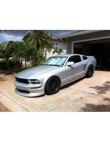 Cucharas laterales al estilo de Cervini (MUSTANG 05-09)