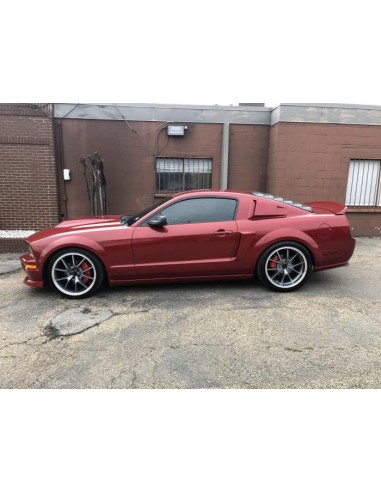 Cucharas laterales al estilo de Cervini (MUSTANG 05-09)