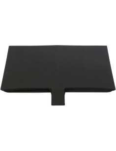 Toma de aire del capó - Sin pintar (MUSTANG 15-17 GT, EcoBoost, V6)