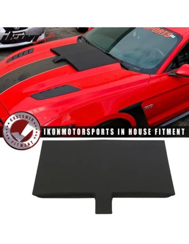 Toma de aire del capó - Sin pintar (MUSTANG 15-17 GT, EcoBoost, V6)