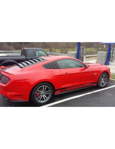 Persianas de ventana de cuarto de Cervini (MUSTANG 15-23 Fastback)