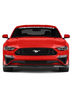 Bolsillos de esquina para la fascia - Estilo Roush (MUSTANG 18-23 Ecoboost, GT) 2