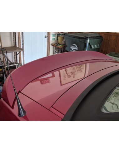 Alerón de maletero estilo cola de pato (MUSTANG 10-14)