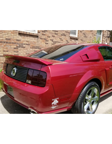 Alerón de maletero estilo GT500 (MUSTANG 05-09)