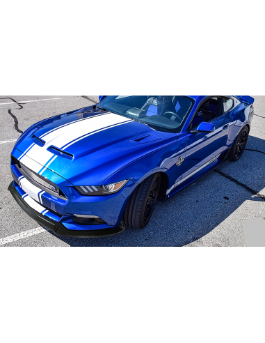 Alerón de mentón/borde del parachoques delantero - Estilo Shelby (MUSTANG 15-17 V6, GT, Ecoboost)