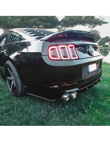 Divisores de parachoques trasero (MUSTANG 10-14)