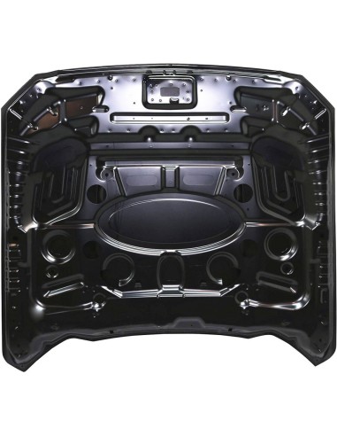 Aluminum Hood - OE style (MUSTANG 15-17 GT, Ecoboost, V6)