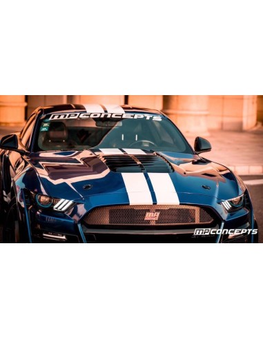 Full Body Kit - 1:1 GT500 Style (MUSTANG 15-17 GT, V6, Ecoboost)