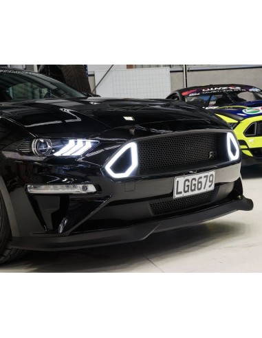 Parrilla inferior estilo RTR (MUSTANG 18-23 GT, Ecoboost)