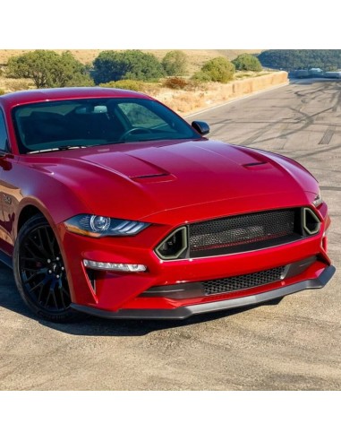 Parrilla inferior estilo RTR (MUSTANG 18-23 GT, Ecoboost)