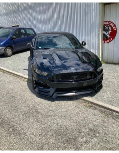 Capó de aluminio - Estilo GT500KR 1:1 (MUSTANG 15-17 V6, GT, Ecoboost)