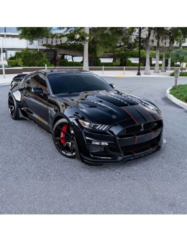 Capó de aluminio - Estilo GT500KR 1:1 (MUSTANG 15-17 V6, GT, Ecoboost)