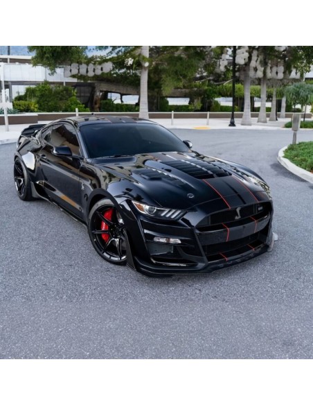 Capó de aluminio - Estilo GT500KR 1:1 (MUSTANG 15-17 V6, GT, Ecoboost)