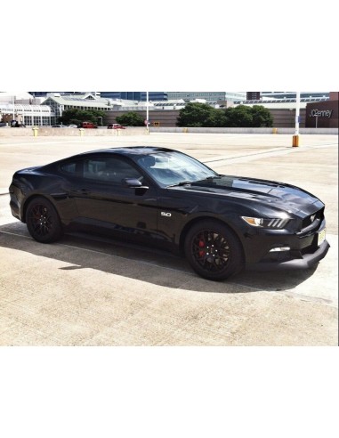 Alerón de mentón estilo CDC (MUSTANG 15-17)