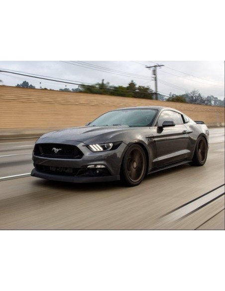 Alerón de mentón estilo CDC (MUSTANG 15-17)