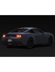 Difusor trasero y faro antiniebla: estilo Dark Horse (MUSTANG 24-25) 2