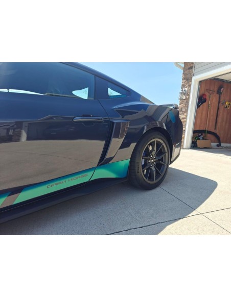 Aletas laterales grandes (MUSTANG 24-25)