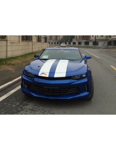Upper Grille - Without Emblem (CAMARO 16-18 LT/RS)