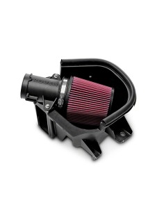 La ingesta de aire frío Roush (10-14 GT)