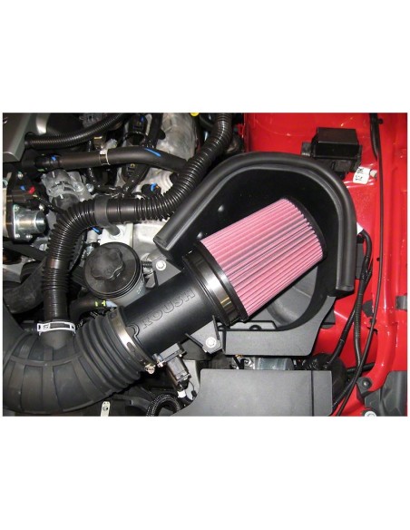 La ingesta de aire frío Roush (10-14 GT)