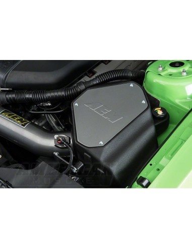 La ingesta AEM fuerza bruta de aire frío - Bronce (11-14 GT)