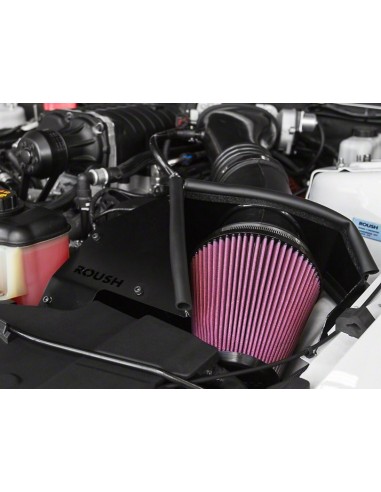 La ingesta de aire frío Roush Para TVS Supercharger 2300 (11-14 GT)