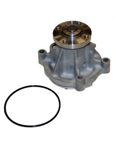 Bomba de Agua 1999-2002 4.6 V8