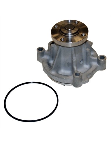 Water Pump 1999-2002 4.6 V8