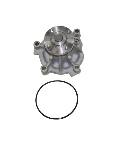 Water Pump 1999-2002 4.6 V8