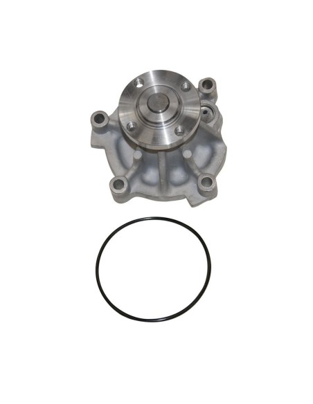 Water Pump 1999-2002 4.6 V8