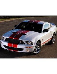 Recambios Americanos | GT500 BODY KIT