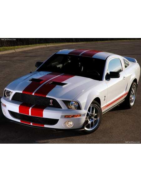 Recambios Americanos | GT500 BODY KIT