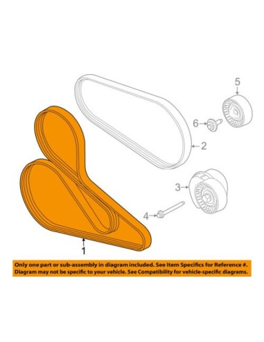 CORREA FORD MUSTANG 5.0