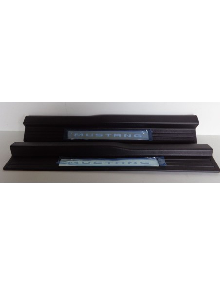 PANELES DE ENTRADA  CON ILUMINACION