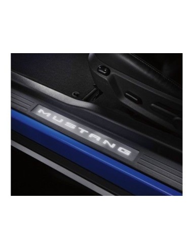 PANELES DE ENTRADA  CON ILUMINACION